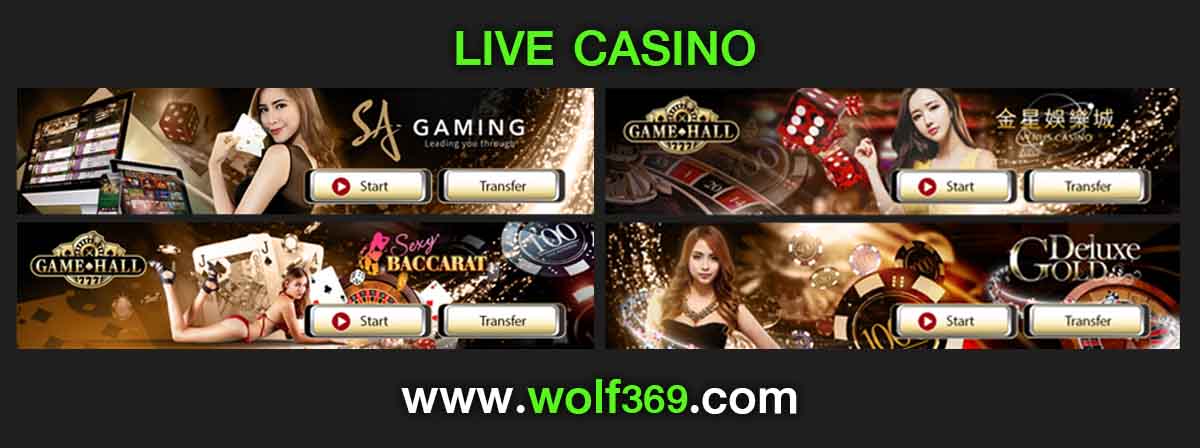 live casino online wolf369